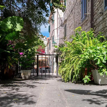 Pulse Of Hvar - Zf Hvar *